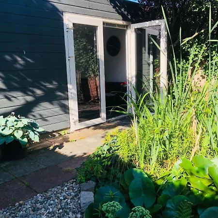 Apartment Garden House In